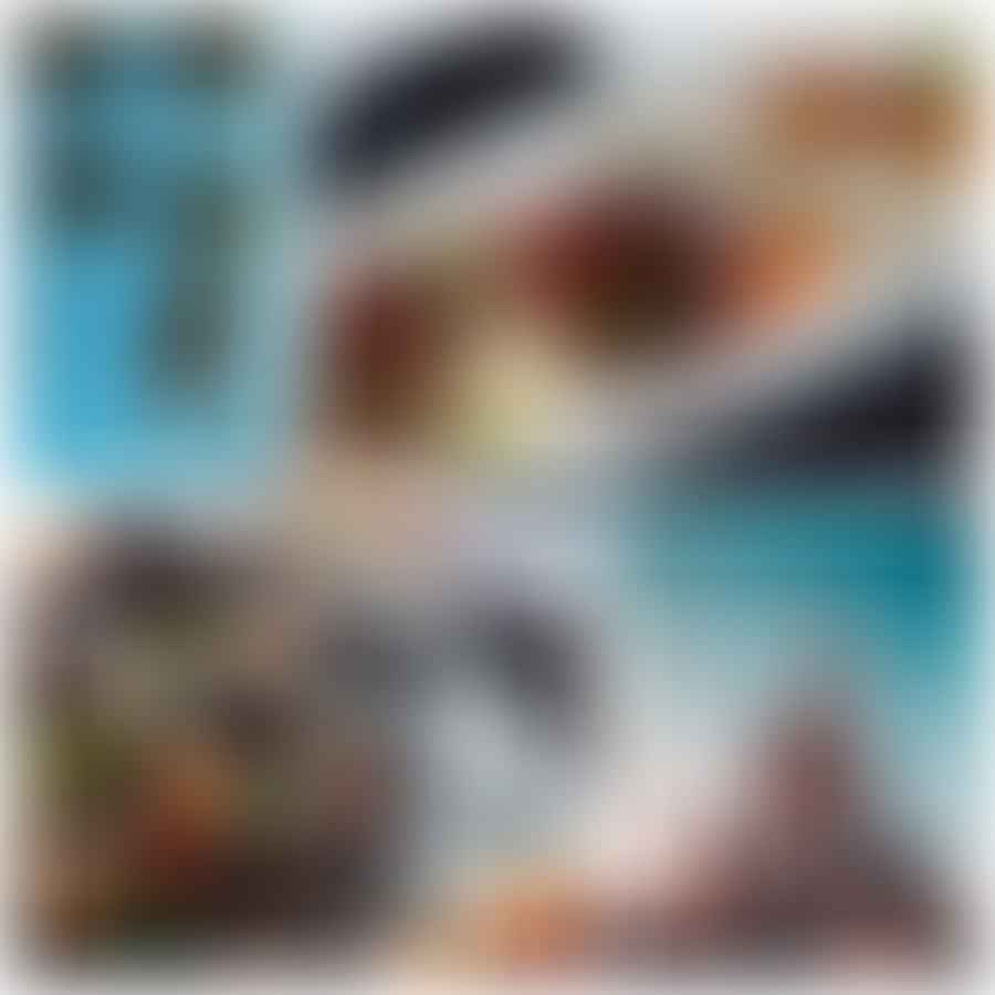 Collage of popular foods from Orlando\'s best family-friendly restaurants